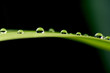 Droplet