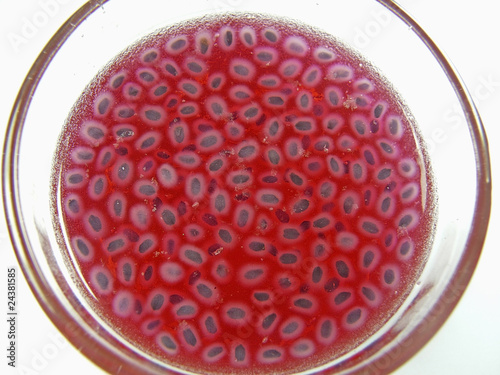 Photo: Sabza, Tukmaria, Edible Vegetable Seeds in Cold drink glass Sabza, Tukmaria, Edible Vegetable Seeds in Cold drink glass