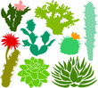 Set of a cactus silhouettes B