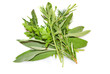 herbs