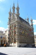 Medieval city hall in Leuven with blue sky Medieval city hall in Leuven with blue sky