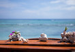 Corals on the bar