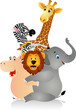 Funny animals