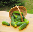 Gewürzgurken