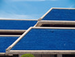 Blue roof