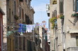 venezia