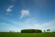 green fields, beautiful sky