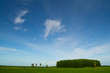 green fields, beautiful sky