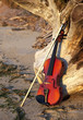 Violin Leaning on a Old Stump