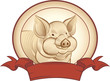 Vector: Graphical pig Graphical pig