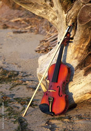 Photo: Violin Leaning on a Old Stump Violin Leaning on a Old Stump