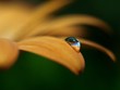The sky in a drop