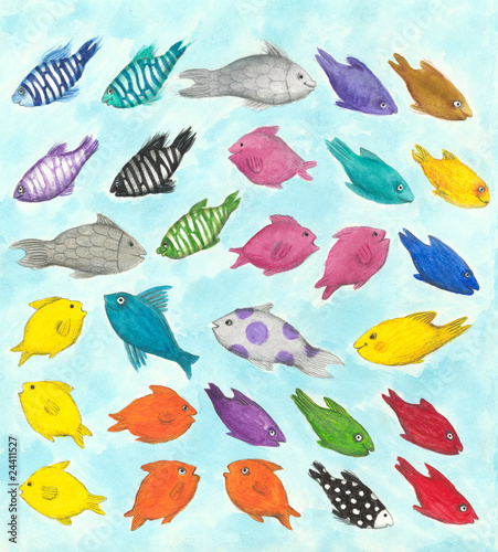 Fototapeta colorful fish