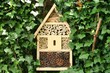 Insektenhotel in Efeu