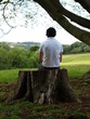 Boy on a stump