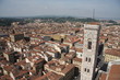Florence 6