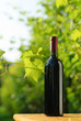Bottle of red wine in vineyard Bottle of red wine in vineyard