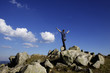 Foto: Stille Stille