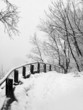 Winter in park