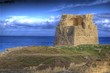Tower of Roca (HDR)