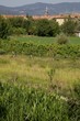 S. Mauro landscape3