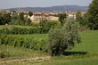 S. Mauro paesaggio