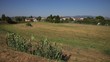 S.Mauro landscape