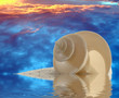 Seashell Sand and Sunset on Water