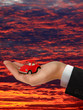 The Hand of the Businessman with the lovely red Car The Hand of the Businessman with the lovely red Car