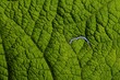 Illusions of a lake surrounded by hills on the back of a leaf