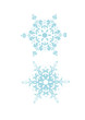 Snow Crystals