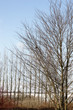 An early spring photo with great natural colors