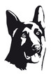 Deutscher Schäferhund