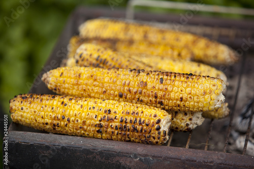 Photo: grilled corn grilled corn