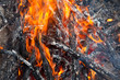 Fire in the camp Fire in the camp