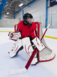 Photo: Ice hockey goalie Ice hockey goalie