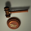 Gavel with SPECIAL OFFER