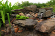 Sculpture of a frog lying on the rocks by the river