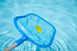 Pool Skimmer