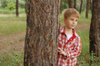 little boy in summer forest