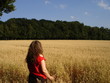 Haferfeld