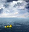 Rubber ducks