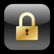 SECURE ACCESS Web Button (security session internet padlock safe