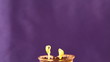Timelapse video of beans growing in competition Timelapse video of beans growing in competition