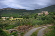 Paysage corse