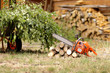 cleanup in the garden