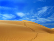 desert