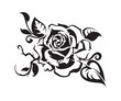 rose