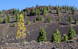 Spain, Canary Islands, Tenerife, Teide National Park