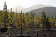Spain, Canary Islands, Tenerife, Teide
